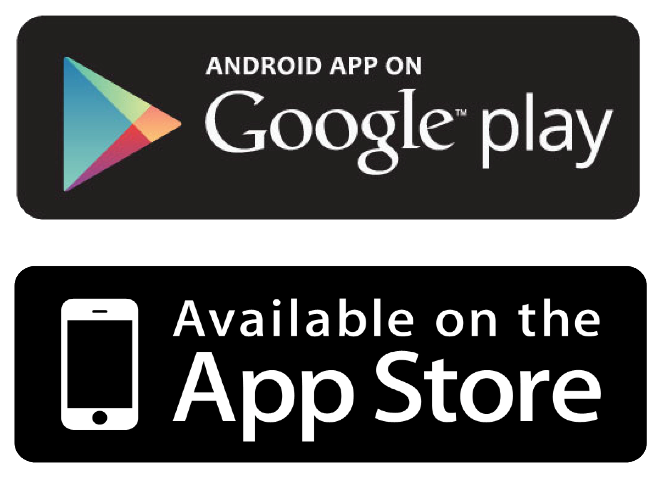 Footer Image